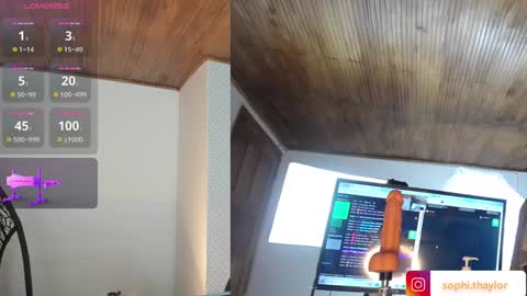 sophi online show from February 3, 1:30 pm