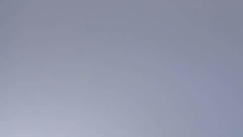 Sophia online show from April 21, 9:55 pm