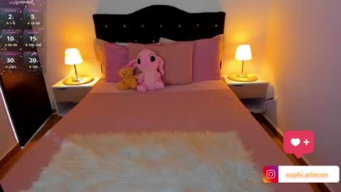 Sophia Rincon online show from February 19, 8:52 pm