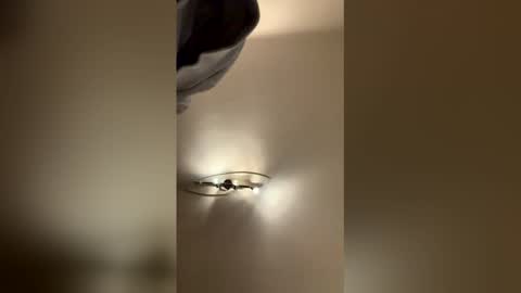 SophiaStar online show from January 7, 8:25 pm