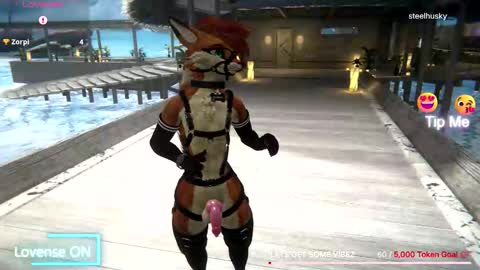 spaydewolfxxx online show from December 1, 1:58 am