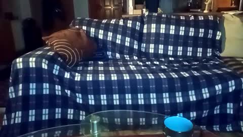 special_xl_ online show from April 19, 6:21 pm