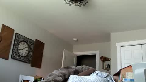 sportfish online show from April 4, 6:37 pm