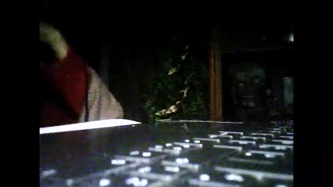 sportlopexhib online show from January 14, 1:15 am