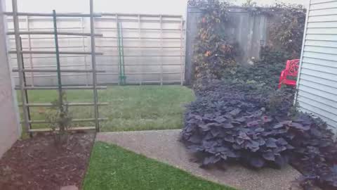 srtxshow online show from November 16, 8:44 pm