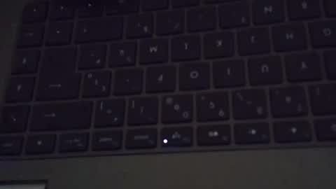 steflab online show from November 28, 11:06 am