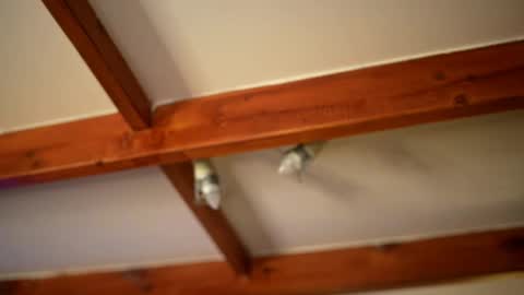 Stella online show from February 26, 9:56 am