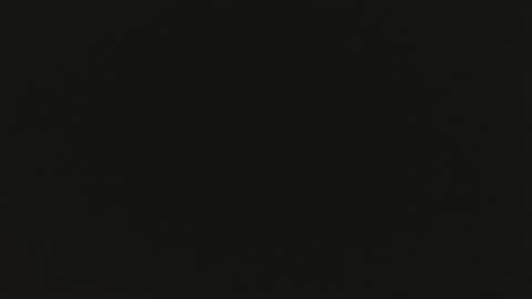 Steve online show from October 1, 10:36 am