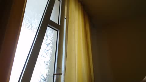 Steven online show from October 10, 10:54 am