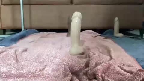 strktre98 online show from March 11, 2:09 pm