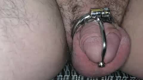 subchastityhere online show from February 10, 7:38 pm