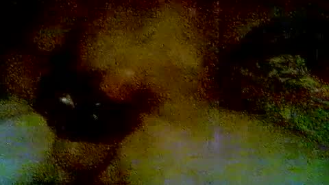 suckmy94me online show from July 3, 10:42 am