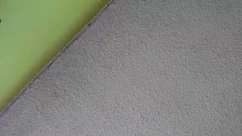 sussan_nasty online show from December 16, 1:39 pm