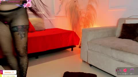 Suzy online show from February 3, 10:00 pm