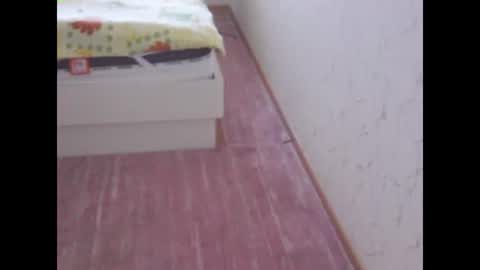 sv27 online show from February 13, 11:17 am