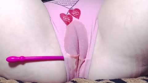 Kitten online show from December 3, 9:21 am