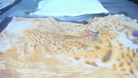 carl online show from February 12, 9:46 am