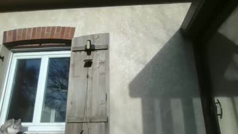 sweetguyss12 online show from January 16, 2:15 pm