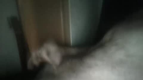 sweetpussylicks online show from February 17, 6:39 pm