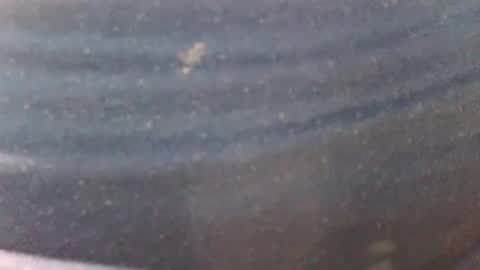 syrius57920 online show from January 18, 4:59 am