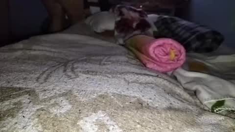 tangaxhentai3 online show from January 6, 12:48 am