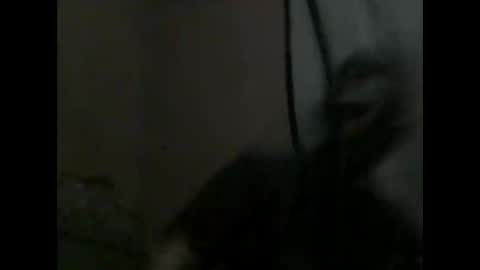 tango3788 online show from November 13, 5:43 am