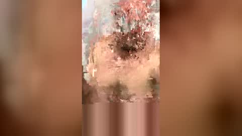 tantrictim64 online show from December 15, 1:01 am