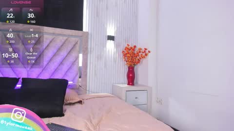 Taylor Harveey online show from November 12, 8:55 pm