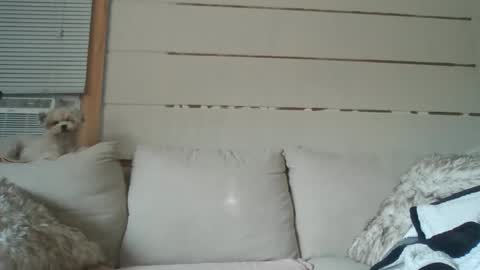 Snapshot of teasemechanic69_420 chatting on September 9, 7:14 pm teasemechanic69_420 online show from September 9, 7:14 pm