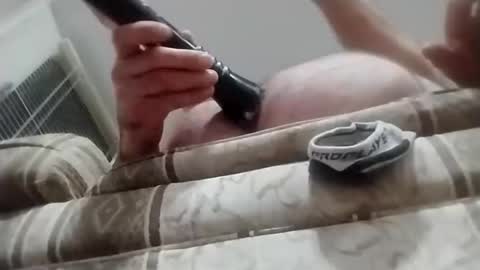 Toerry online show from October 26, 9:32 am