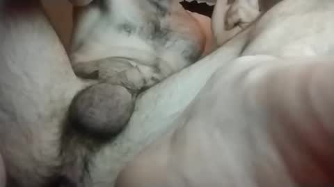 Toerry online show from January 19, 9:22 am