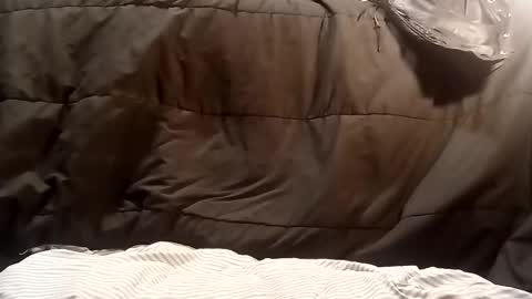 Snapshot of thatb1 chatting on October 21, 6:51 am thatb1 online show from October 21, 6:51 am