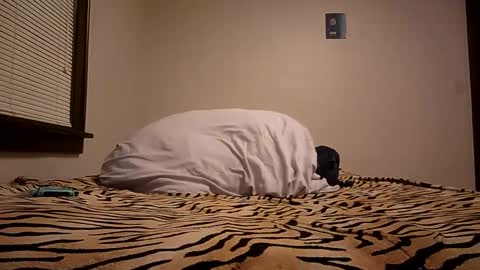 thatman1997655 online show from November 29, 11:29 am