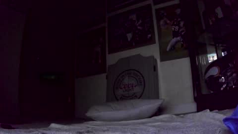 thegreat6268469 online show from January 31, 12:40 pm