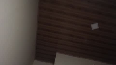 Snapshot of therazhanen chatting on December 6, 6:42 am Santiago Enrique online show from December 6, 6:42 am