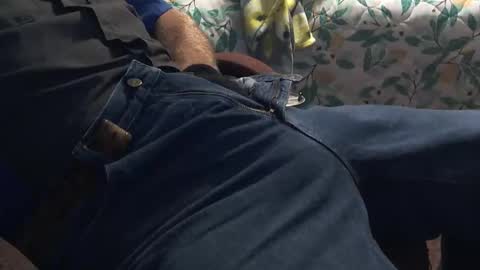 thetnguy online show from November 2, 3:12 pm