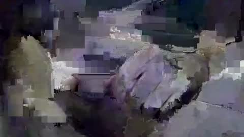 thickandhard54321 online show from December 2, 12:31 am