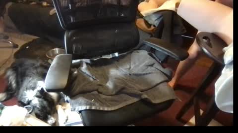 Snapshot of thundersword chatting on March 8, 7:09 pm thundersword online show from March 8, 7:09 pm