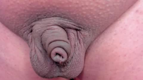 tich___ online show from December 23, 8:53 am