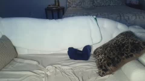 Tiffani Love online show from February 8, 1:00 am