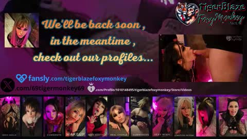 TigerBlazeFoxyMonkey online show from March 5, 1:31 pm