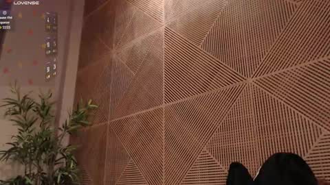 Tim Fox online show from February 17, 12:04 pm