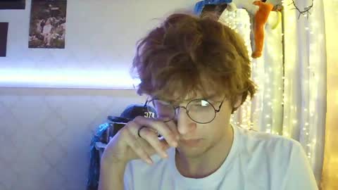 Wille online show from May 19, 2:29 am