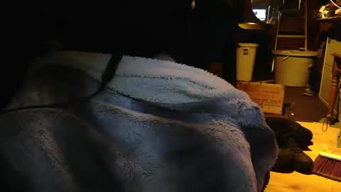 tinkertrain420 online show from December 2, 9:52 am