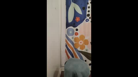 TJ online show from December 12, 10:52 pm