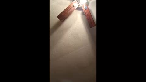 Vols online show from January 11, 1:28 pm