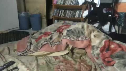 small man online show from March 8, 9:52 pm