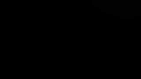 tokyoprojject online show from October 2, 4:17 pm