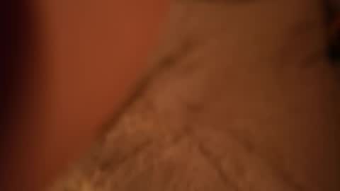 Sage. TG channel  online show from October 19, 12:48 am