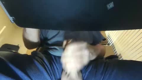 toolman3442 online show from April 3, 8:38 pm